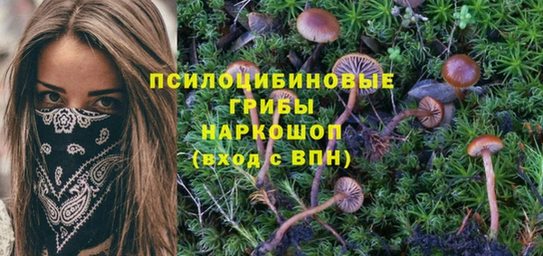 ECSTASY Шарыпово